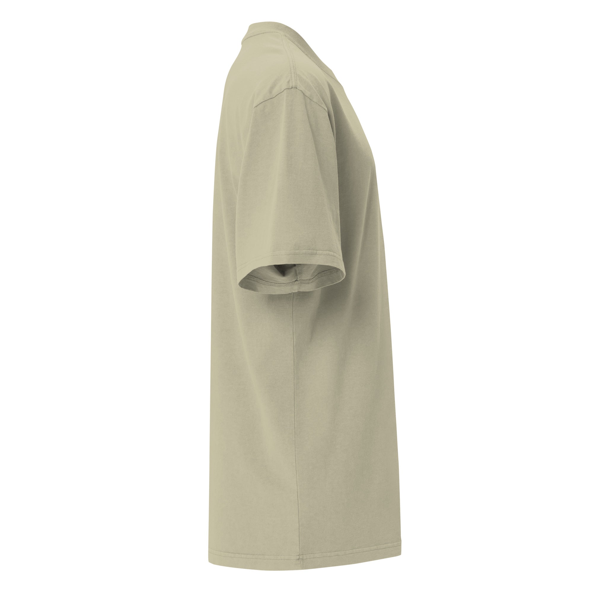 "Faded Eucalyptus" Oversized T-shirt