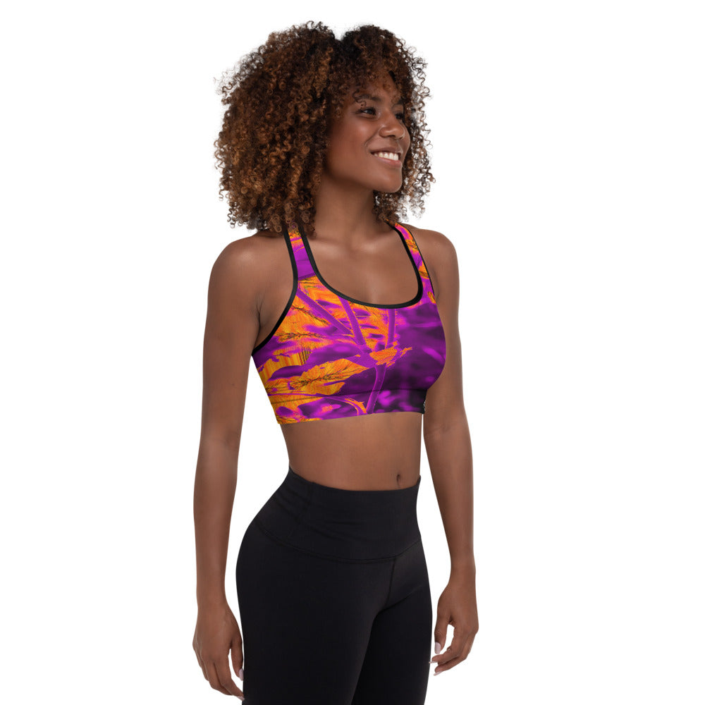 "ORANGE" Padded Sports Bra